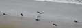 060414_7732 Inverness a