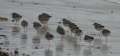 060414_7999 Inverness a