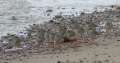 060414_8011 Inverness a