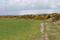 060414_8030 Inverness