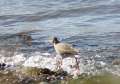 060414_8081 Inverness a