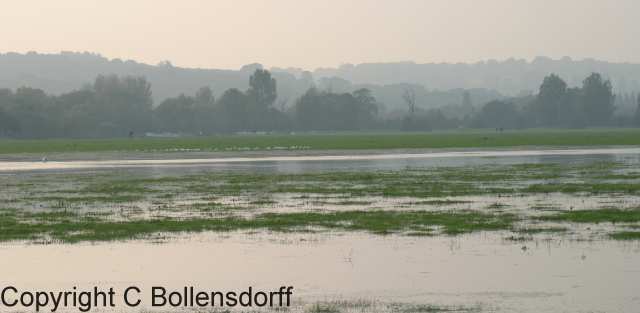 061015_8057 Port Meadow 01