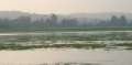 061015_8057 Port Meadow 01