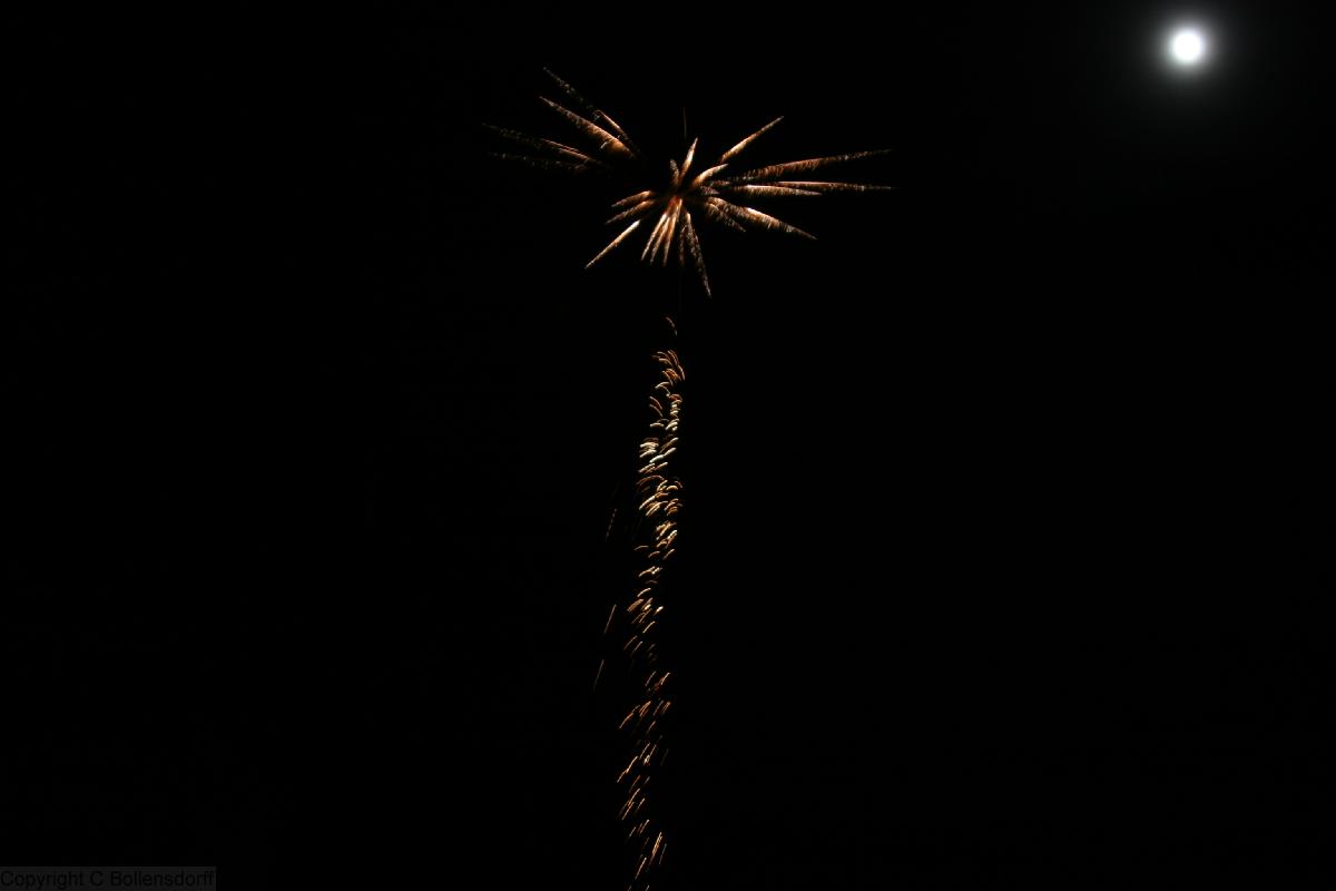 061104_8672 Wolfson College Firework