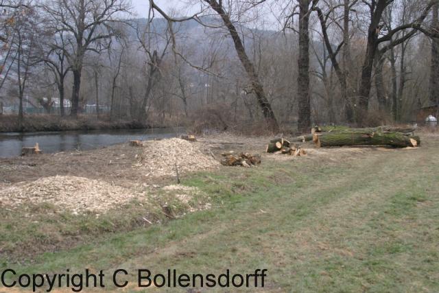 150_5097Jena-2004-003