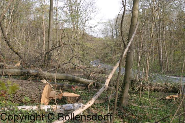157_5752Jena-2004-012