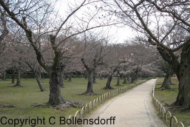 JapanOkayama078