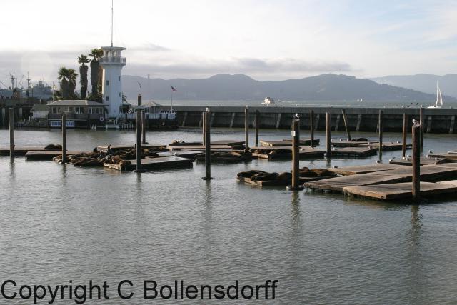 LASanFrancisco091