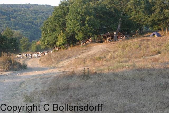 IMG_2771BulgariaStrandzja057
