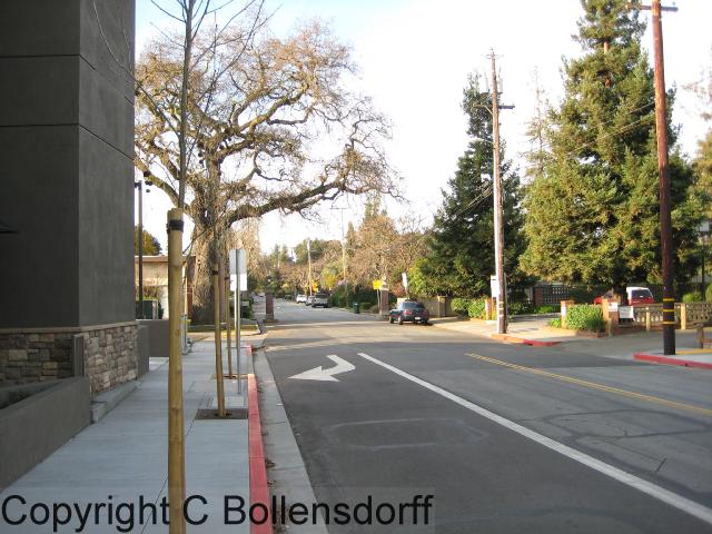 CAStanford068